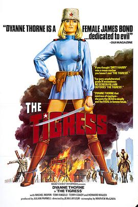 seo优化的常见问题